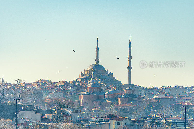 Rustem Pasha清真寺和Suleymaniye清真寺及其周围建筑。